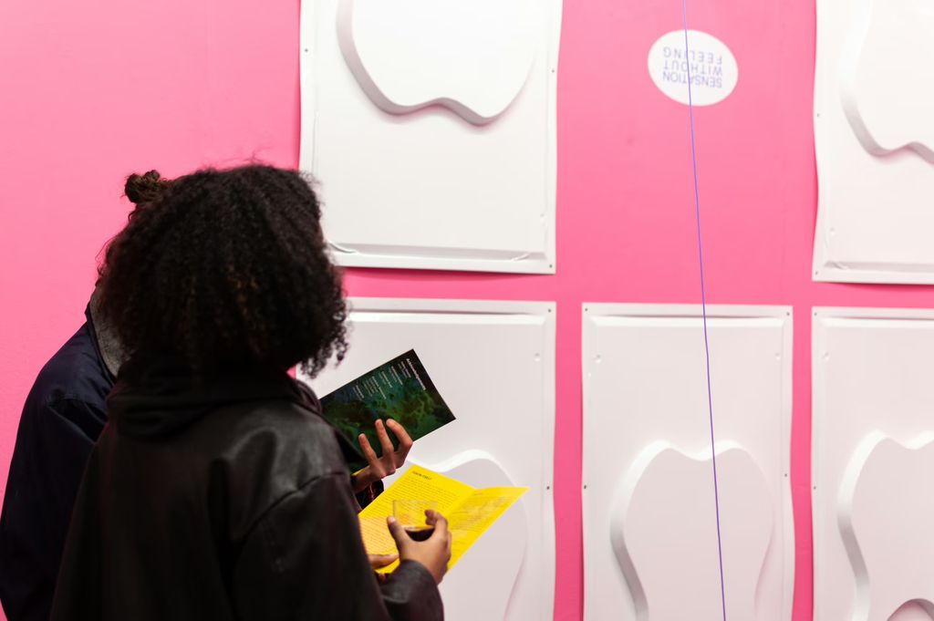 Description not provided