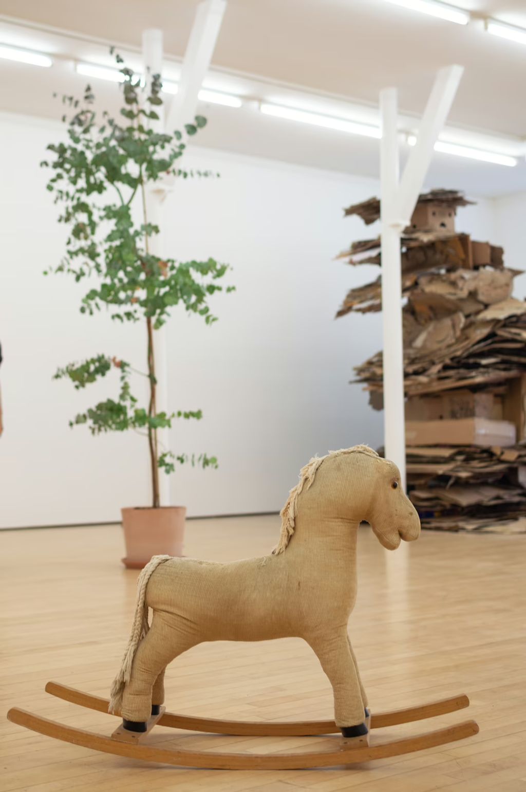 Description not provided