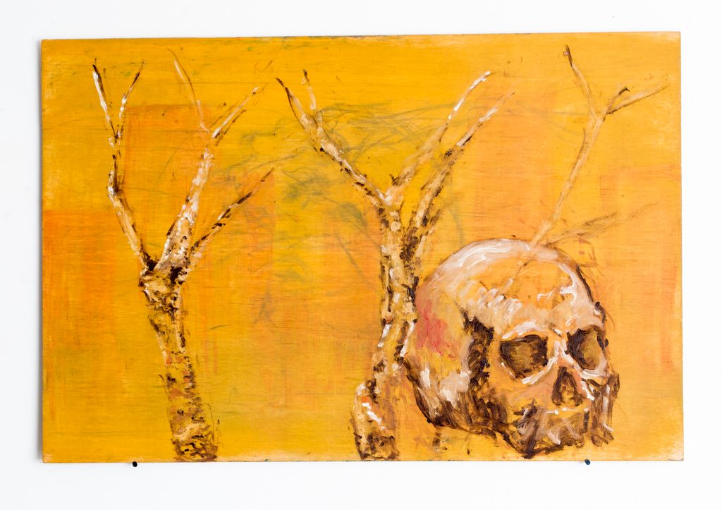 Description not provided