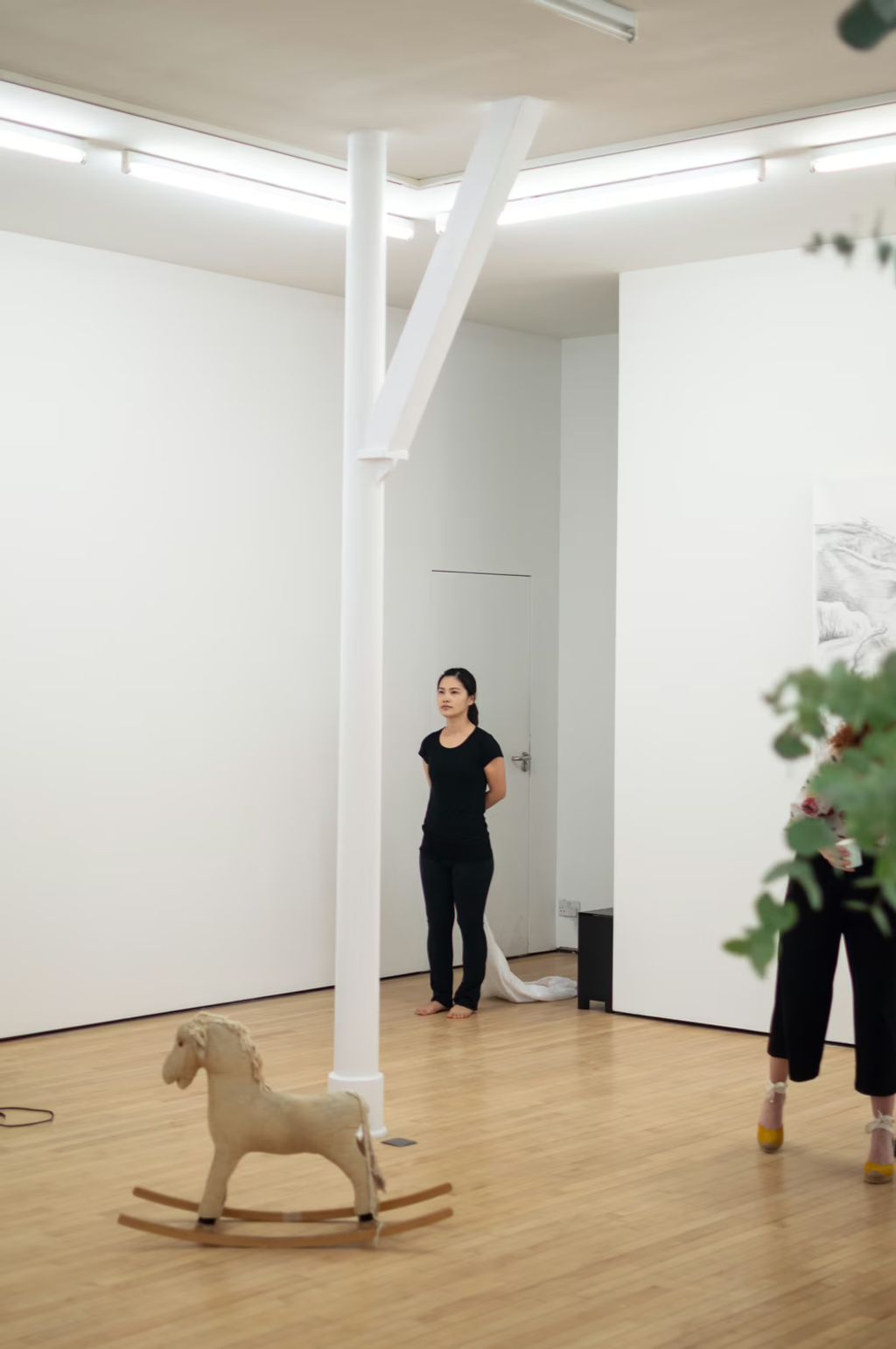 Description not provided