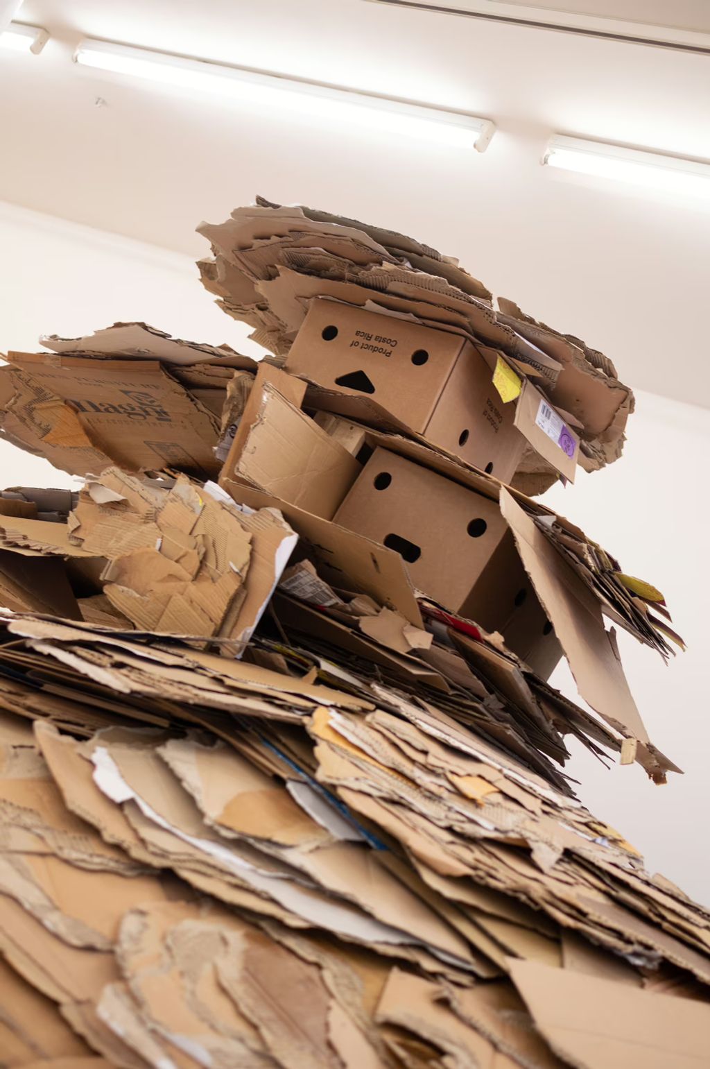 Description not provided