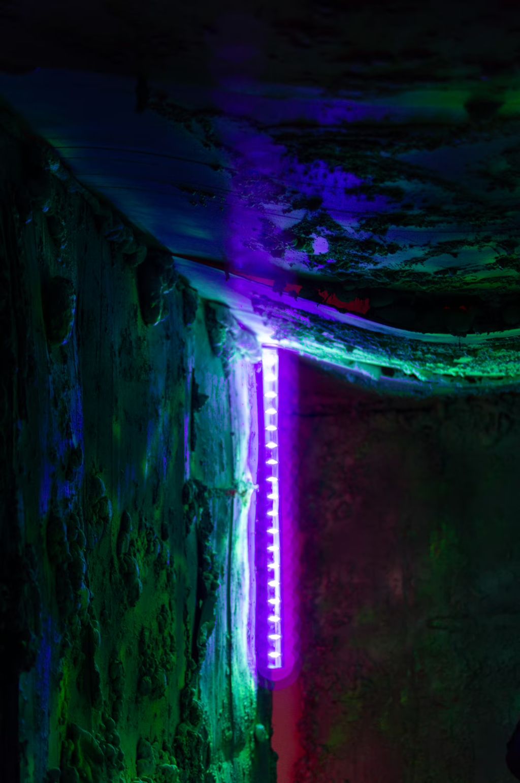 Description not provided