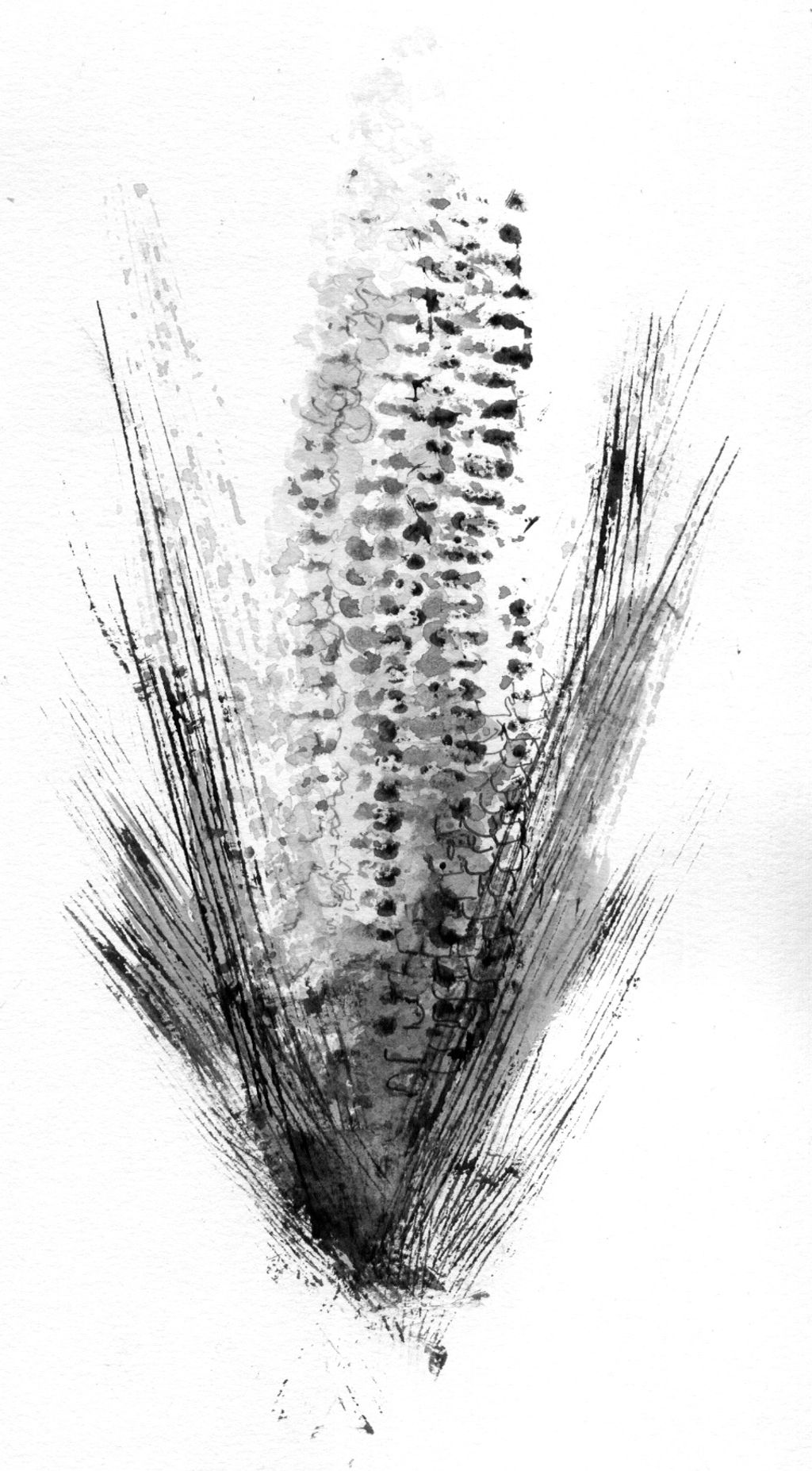 Description not provided