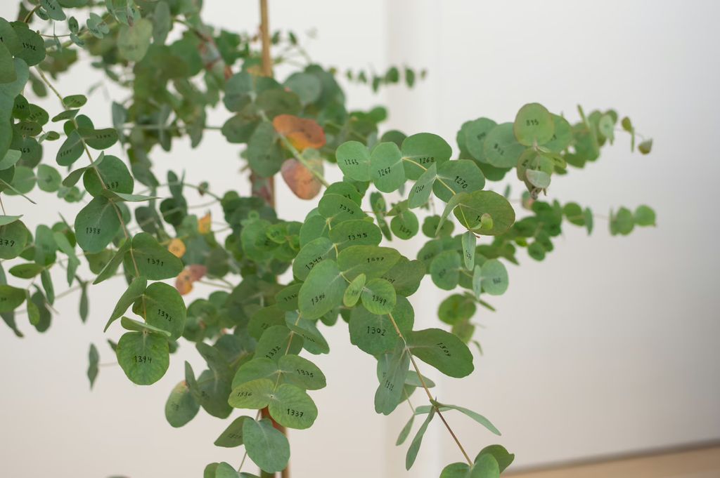 Description not provided