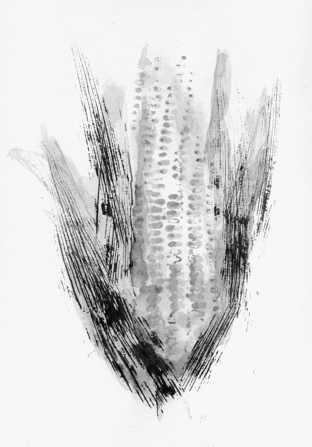 Description not provided